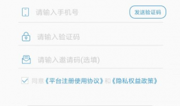 珍金岛短视频,探寻神秘宝藏的奇幻之旅